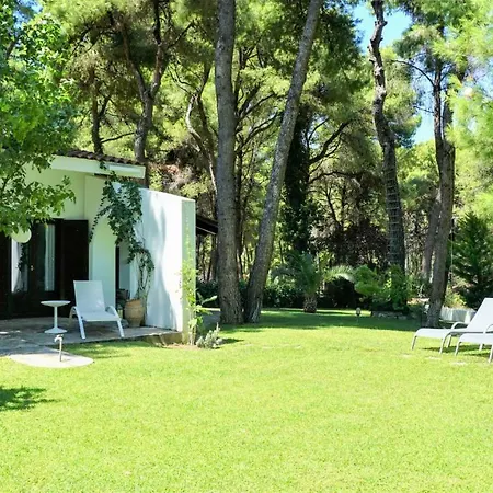 Villa Emily In Sani Sani (Chalkidiki)